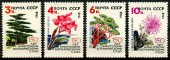 1962г. Цветы. Никитский ботанический сад. 150 лет.
