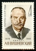 1964г. Вишневский А.В.