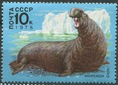 1978. Фауна Антарктиды. Морской слон.