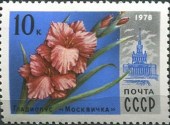 1978. Цветы Москвы. Гладиолус.
