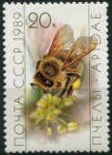 1989. Пчёлы