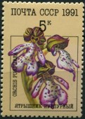 1991. Орхидеи. Ятрышник пурпурный.