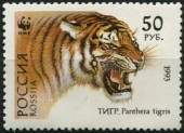 1993. Уссурийский тигр