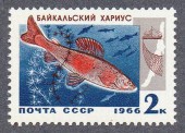 Промысловые рыбы Байкала.Хариус.1966