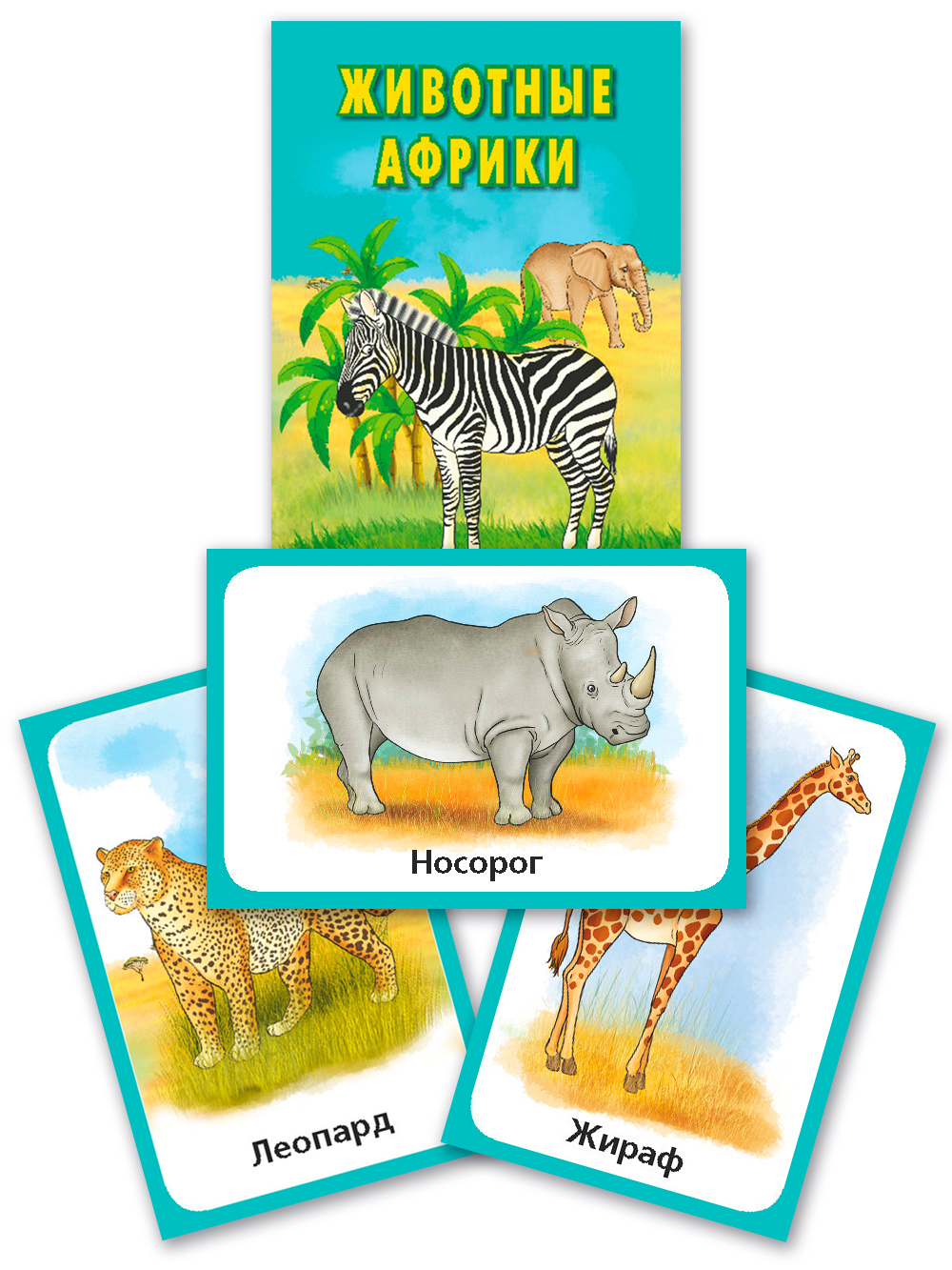 Карточки. Животные Африки