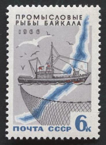 Промысловые рыбы Байкала. Танкер. 1966