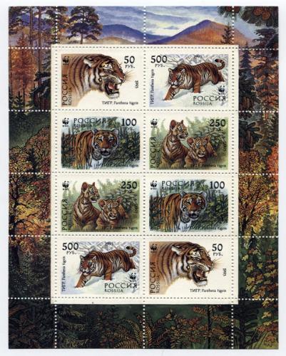 Тигры. 1993